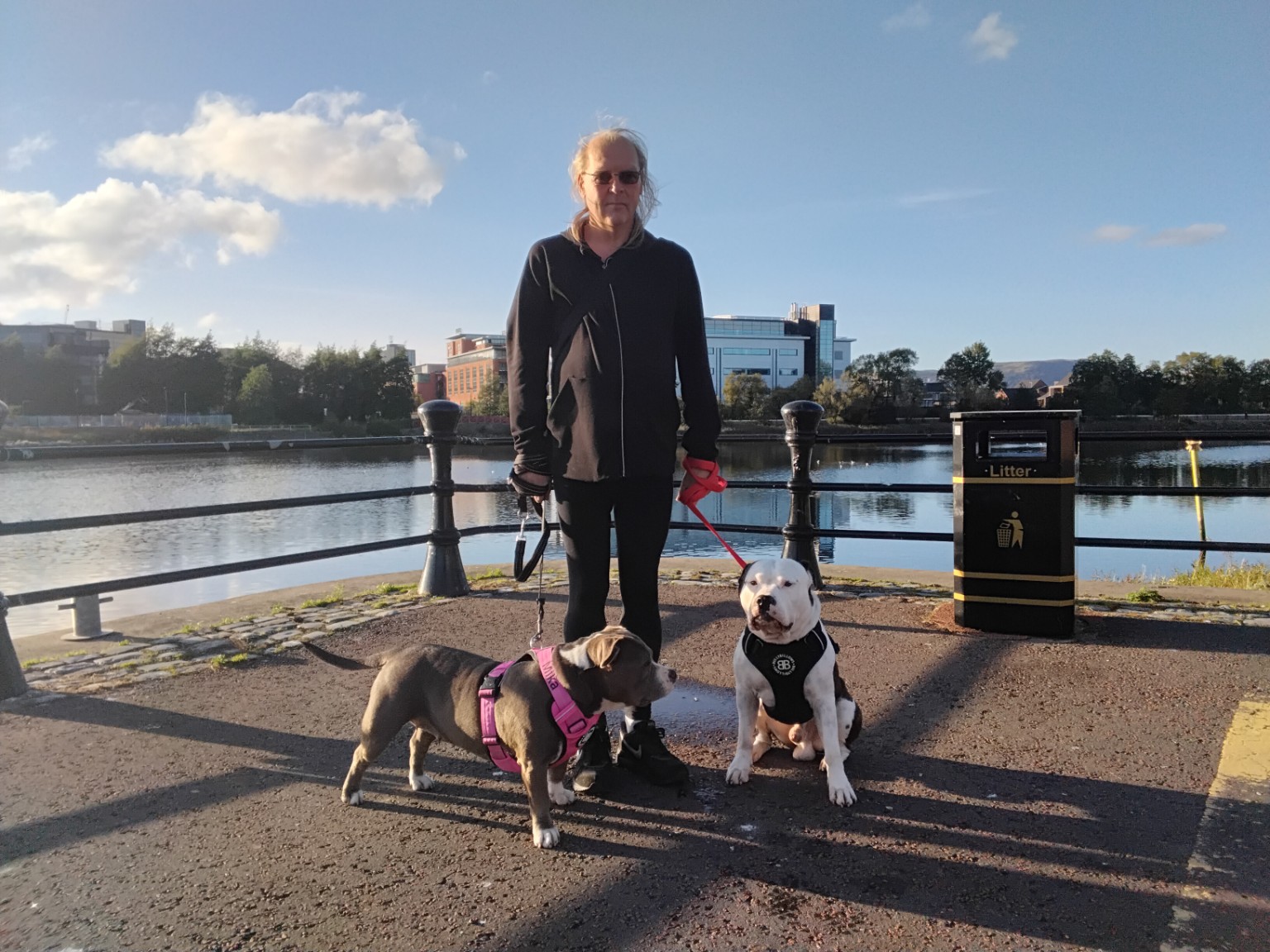 Dog walker with two dogs beside the water in Belfast
